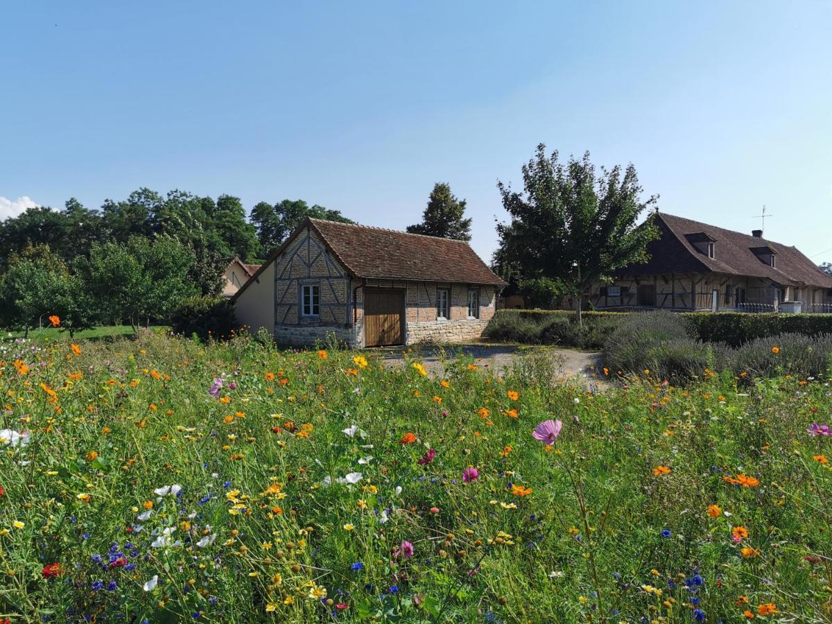 布拉列La Ferme De La Terve住宿加早餐旅馆 外观 照片